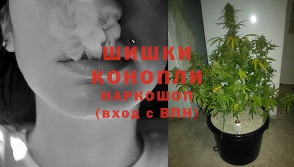 индика Сатка