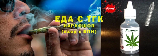 индика Сатка