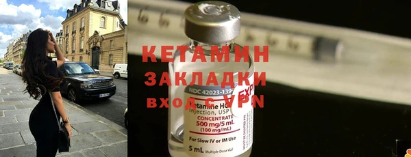 индика Сатка