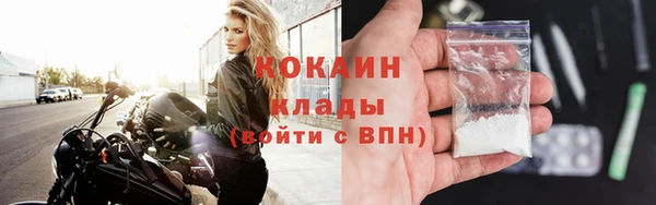 амф Алзамай
