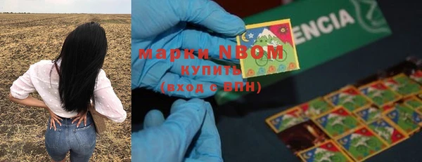 индика Сатка
