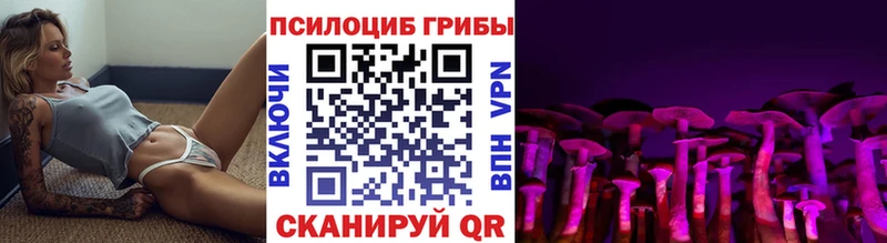 Галлюциногенные грибы мицелий  где найти наркотики  МЕГА как войти  Кяхта 